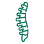 Scoliosis